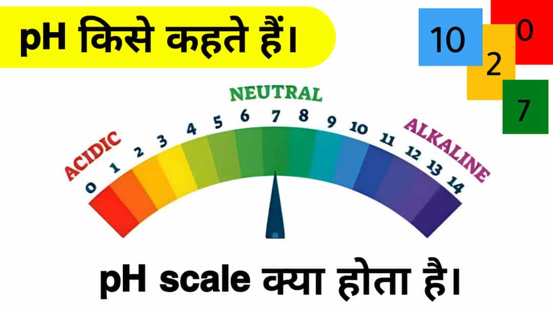 ph man kya hota hai? और दैनिक जीवन में pH का क्या महत्व है?